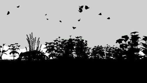 Silhouette Blumen und Schmetterlinge