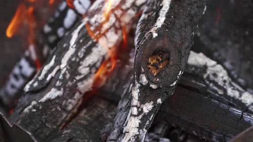 Close-up of Bright Fire with Burning Logs
