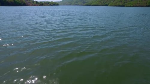 Lake And Forest Drone View 3