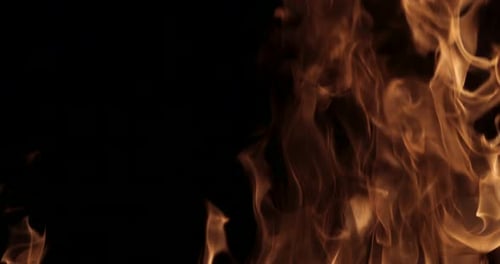 Close Up Shot of Dynamic Orange Fire Flames