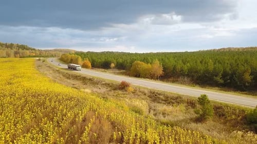 Road Through Fields and Forest on Overcast Day