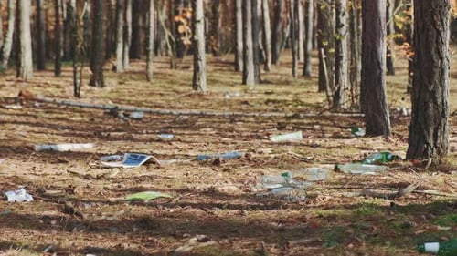 Medium Shot of Forests' Pollution with Garbage