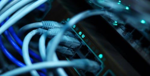 Ethernet Cables Connected to Server with Blinking Lights