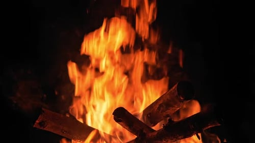 Campfire Burning Brightly in the Darkness