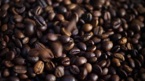 Falling Down Brown Roasted Coffee Beans