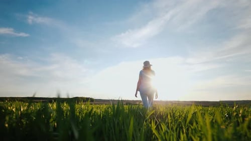 A Woman Walks on High Green Grass at Sunset