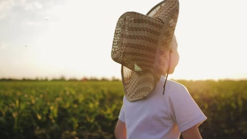 A Little Boy in a Hat Run Through a Cornfield