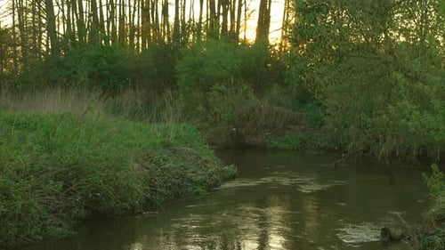 River
