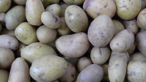 Close Up of Fresh Yellow Potatoes