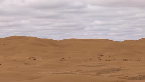 Desert Landscape