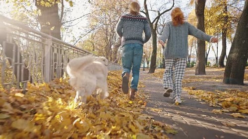 Autumn Activity