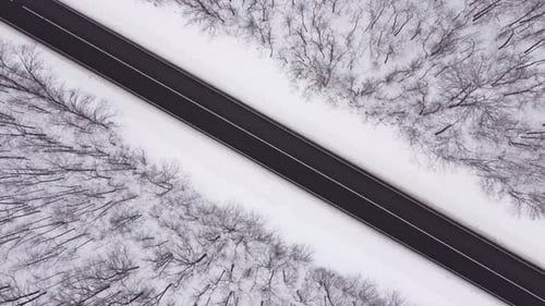 Aerial View of Winter Road and Forest with Snow Covered Trees