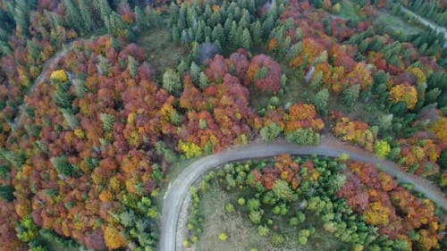 Hauts plateaux et collines avec routes étroites et forêts d'automne