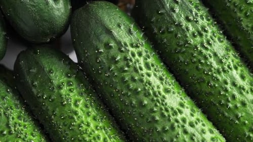 A Lot of Cucumbers. Rotating Vegetables