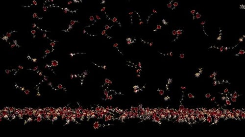 Blumen Regen
