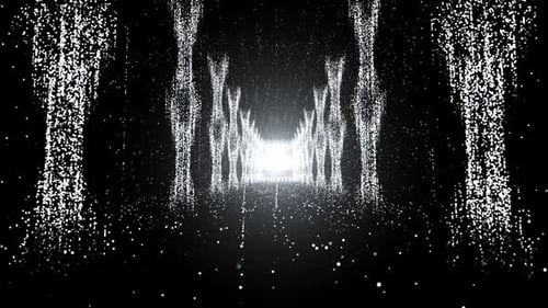 White Particular On Stage Loop