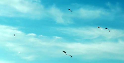 Kites