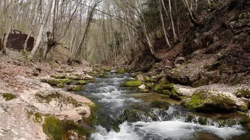 Kleiner Gebirgsfluss in der Mitte des Waldes