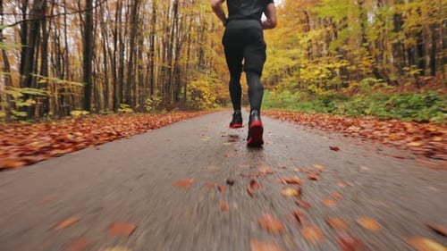 Runner Exercising in Autumn Forest Environment