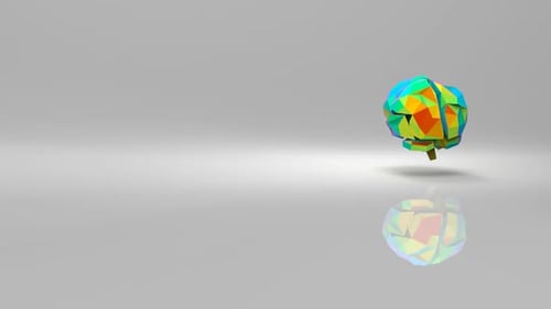 Colorful Geometric Brain Rotating on Reflective Surface