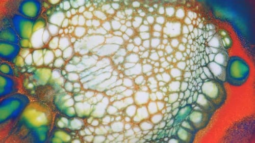 Abstract Cells in Vibrant Macro Close-Up