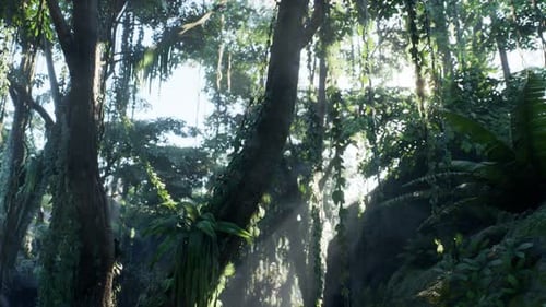 Lush Tropical Jungle Forest with Sun Rays Animation