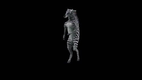 3D Realistic Zebra Character Dancing Animation