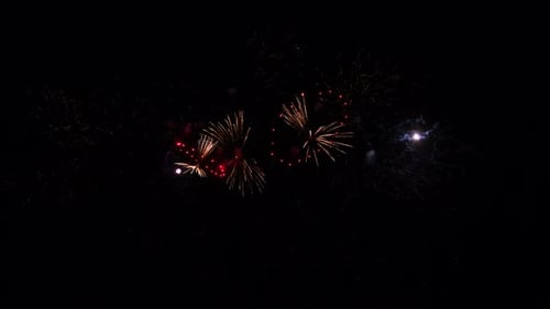 Colorful Fireworks Exploding in the Night Sky