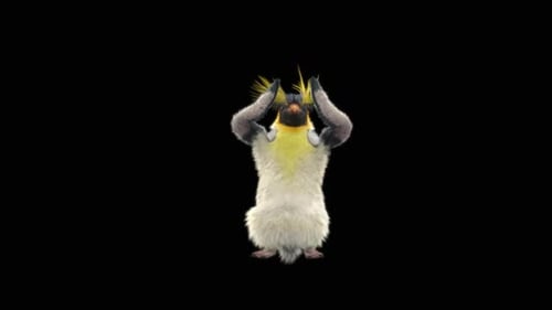 Penguin Dancing HD