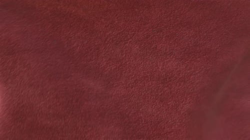 Organic Red Fuzzy Texture Loop Background Animation