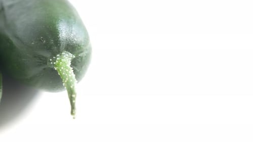 Close Up Fresh Cucumbers on White Background