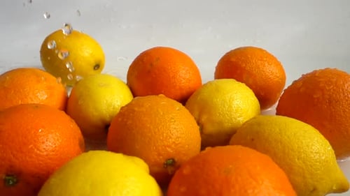 Fresh Lemons and Oranges Washed with Water