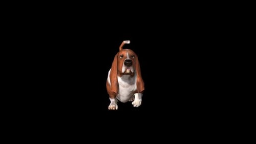 Basset Hound Dog Animation Walking Towards Viewer