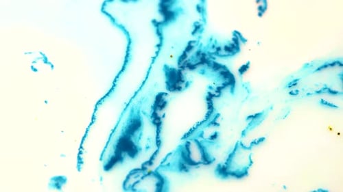 Hypnotic Swirls of Blue and White Design