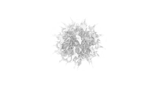 Abstract Organic White Fluid Motion Graphics Background
