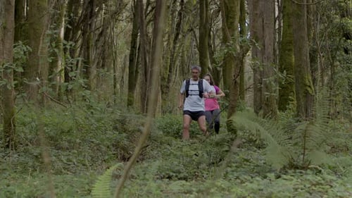 Fit Man and Woman Running on Forest Trail