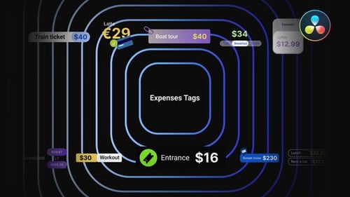 Expenses Tags for DaVinci Resolve