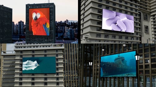 Billboard Mockups | MOGRT