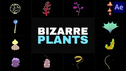 Bizarre Plants | After Effects