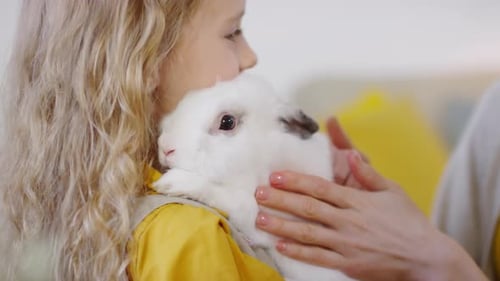 Girl Lovingly Cuddles a Fluffy White Rabbit