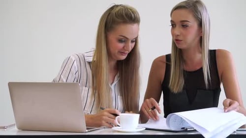 Blonde Business Woman Working at Modern Office