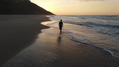 Zumbido aéreo al atardecer de la playa