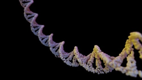 3D DNA Strand Dissolving into Particles Animation