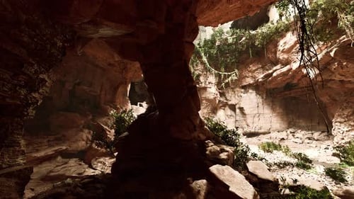 View From Inside a Dark Cave with Green Plants and Light on the Exit