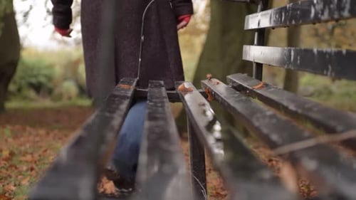 Relaxing walk in autumn leaves with park bench