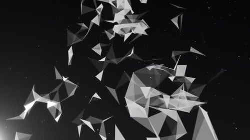 Black And White Plexus, 4 K