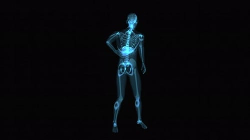Concept d'anatomie 4K du foie