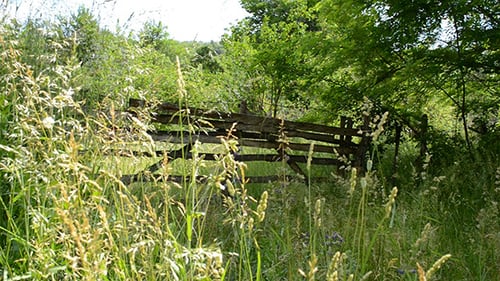 Wooden Gate to the Orchard
