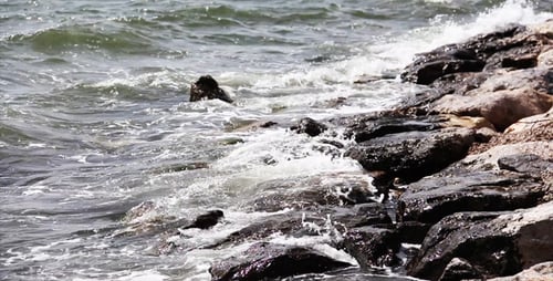Rocks And Sea Waves