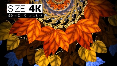 Fluid Abstract Leaves Spiral Background Animation